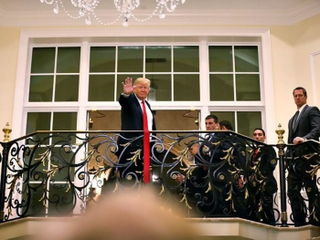 Illustration for article titled Trump Ties